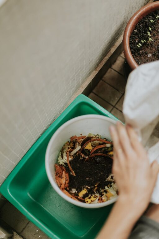 Easy Ways to Reduce Food Waste at Home and Save Money
