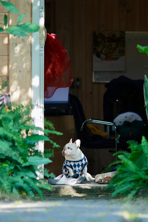 How to Plan a Restful Day Off at Home for Ultimate Relaxation